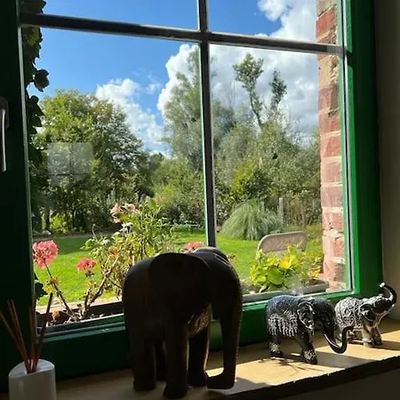 Grand Sauna Et Bain Bouillonnant 15 Pers Semesterbostad *