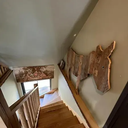 Grand Sauna Et Bain Bouillonnant 15 Pers Semesterbostad