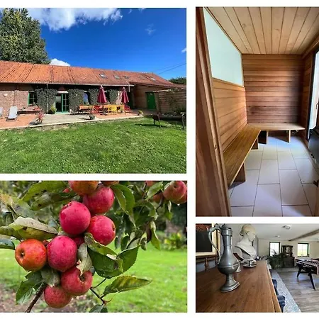 Grand Sauna Et Bain Bouillonnant 15 Pers *